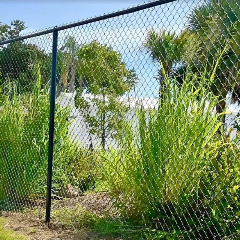 PVC Coated Chain Link