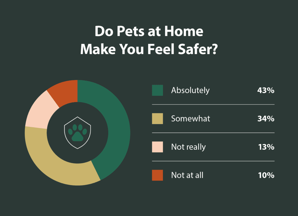 Do pets at home make you feel safer