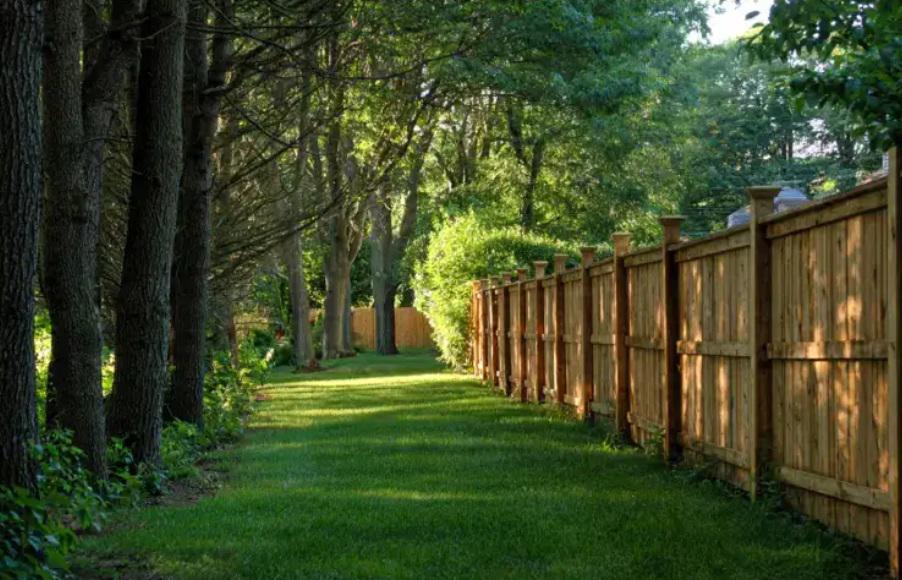 Wood fencing layout transitions between forested edges and open yards in Danbury properties