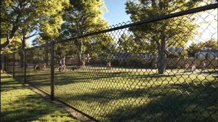 Chain link fencing reimagined for Charlottesville parks, pets, and active backyards