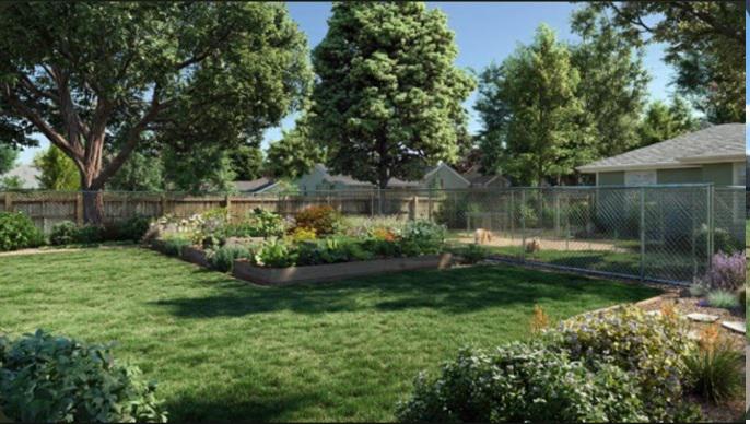 Creating flexible garden and pet zones with chain link fencing in Fort Collins backyards
