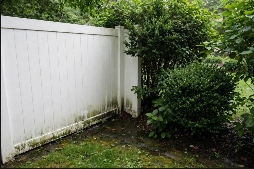 Spot the problem areas where Birmingham’s humidity meets poor airflow and rethink vinyl fence placement around them