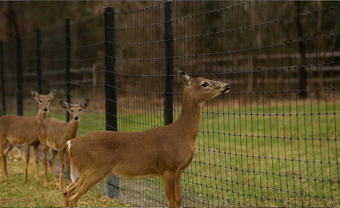 How negative air pressure and temporary walls reduce infection risks