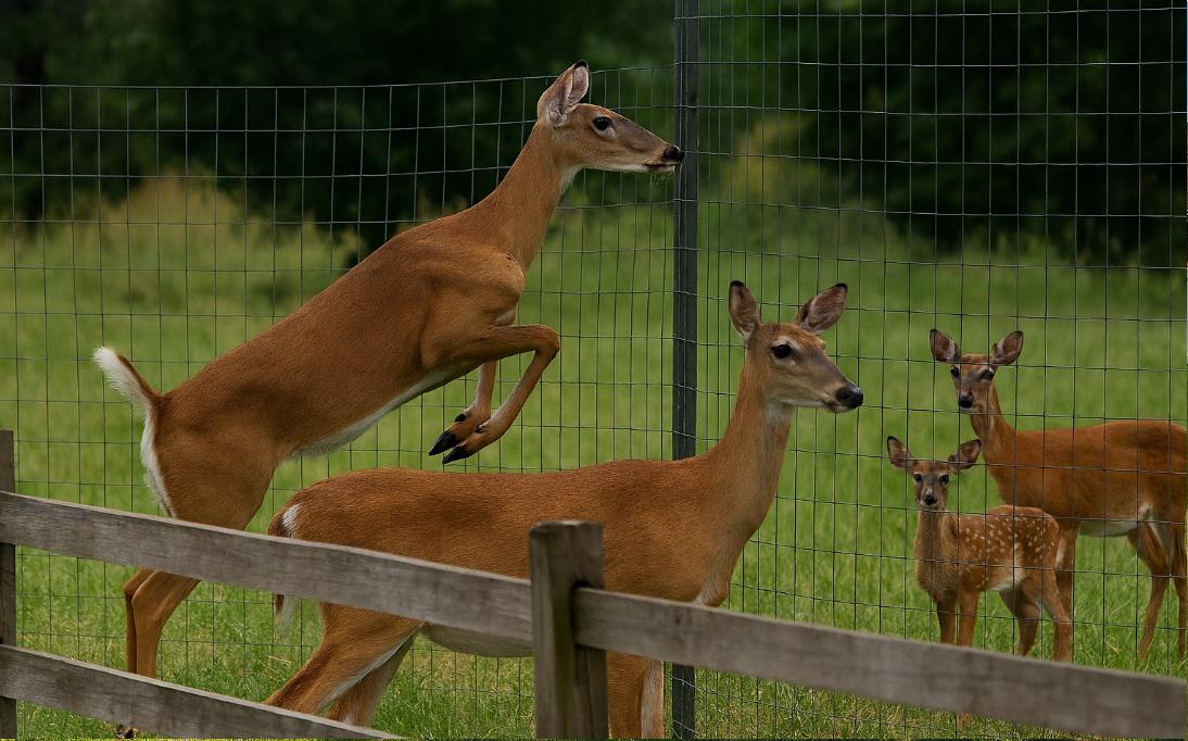 How negative air pressure and temporary walls reduce infection risks