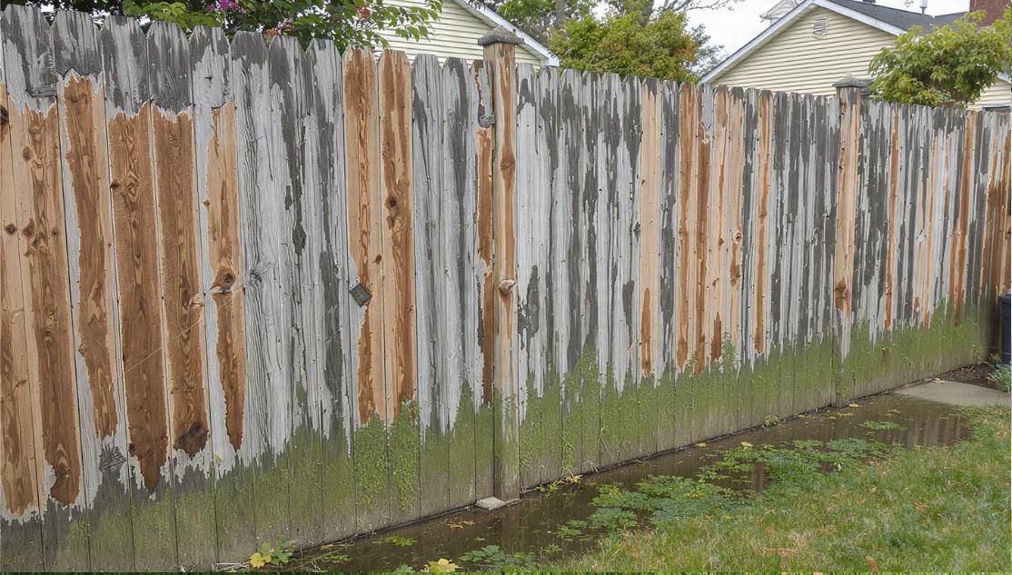 How negative air pressure and temporary walls reduce infection risks