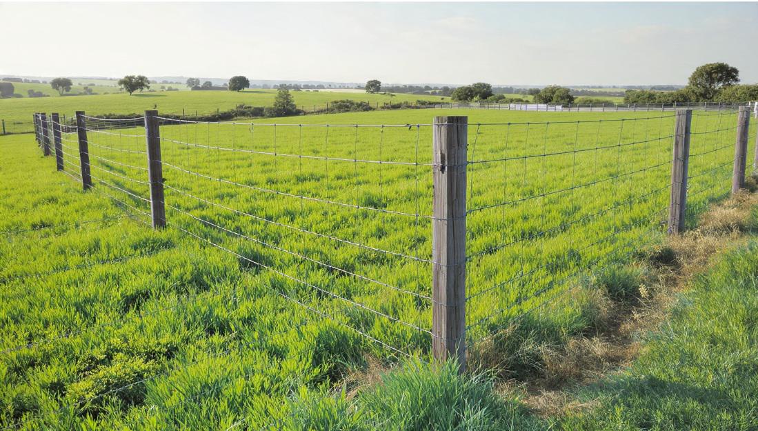 How negative air pressure and temporary walls reduce infection risks