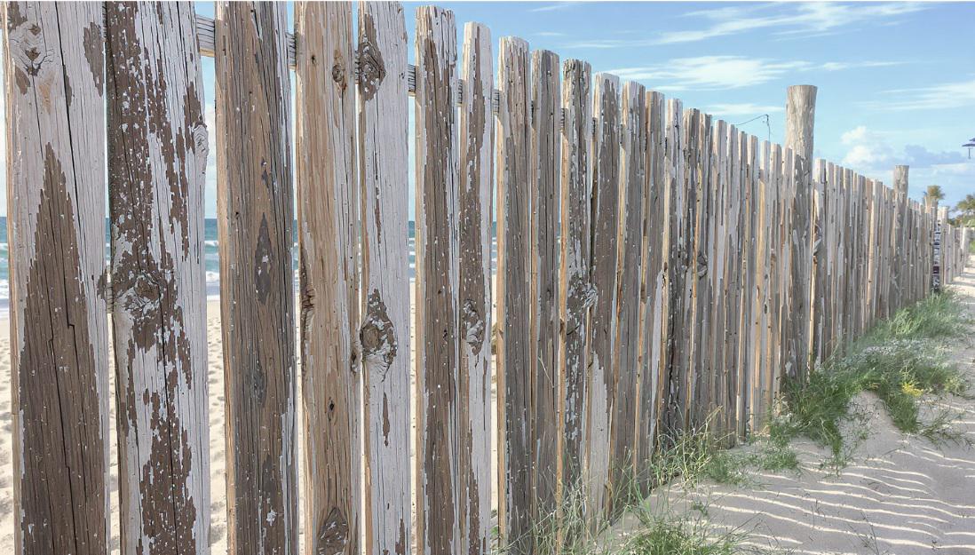 Can Wood Fencing Survive Salt Air? A Fort Lauderdale Coastal Exposure Experiment