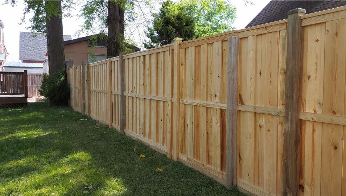 Backyard Privacy Experiment: How Tall Should Wood Fencing Be in Raleigh Neighborhoods?