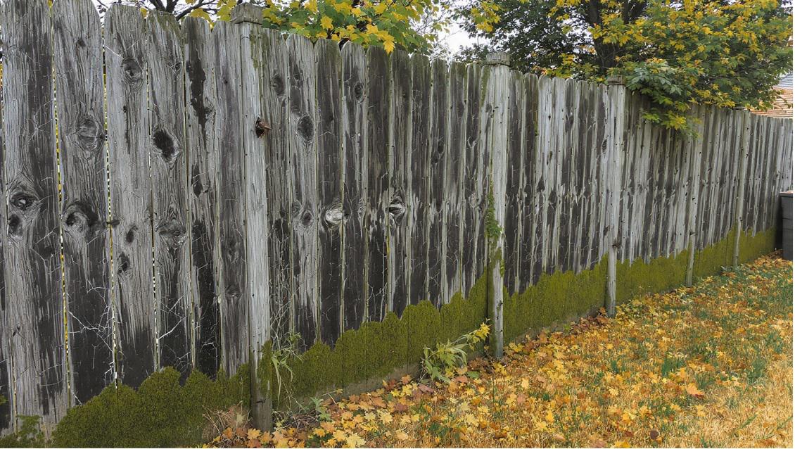 How negative air pressure and temporary walls reduce infection risks