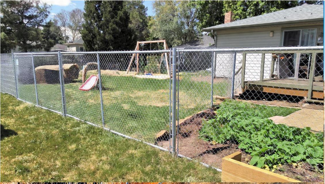 Backyard Activity Zones: Using Chain Link Fencing to Separate Pets, Play Areas, and Gardens in Denver