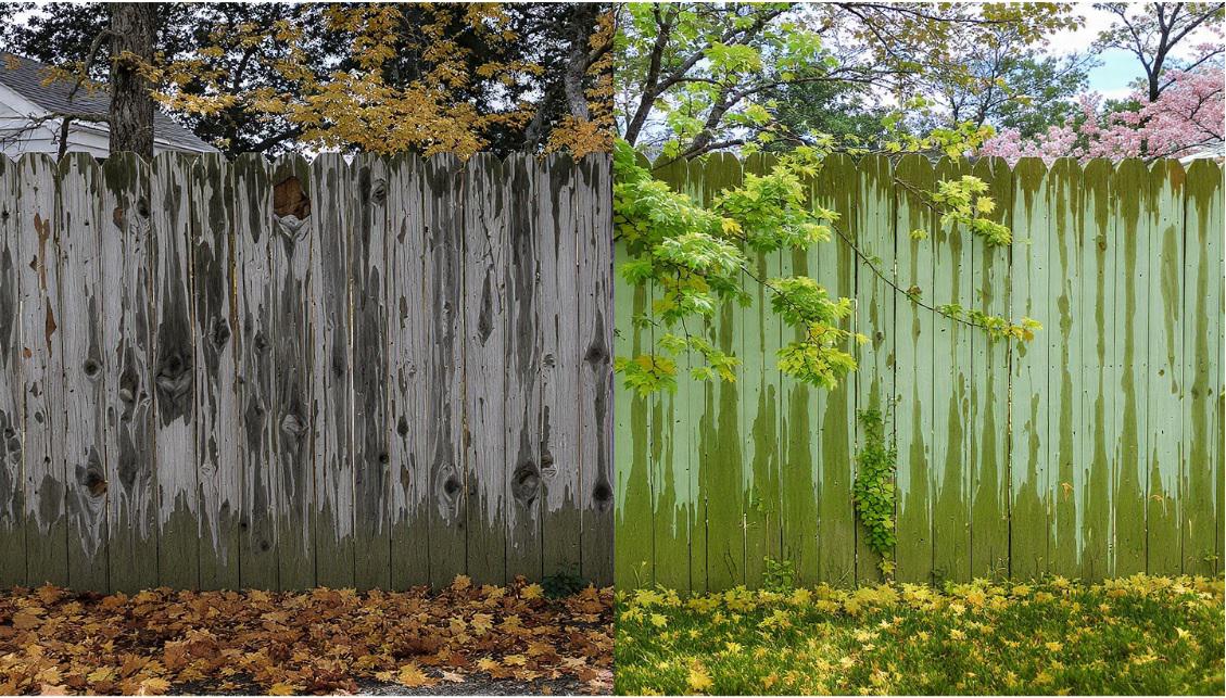 The Backyard Story Wood Fencing Tells as Florida Panhandle Seasons Pass