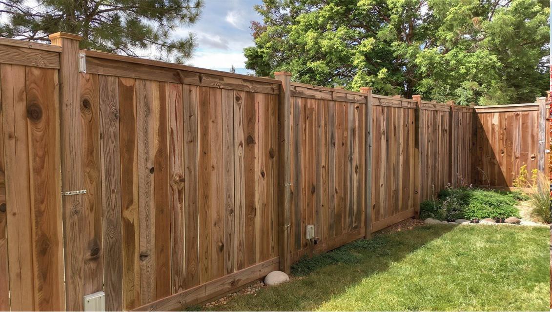 The Backyard Character Test: How Wood Fencing Adds Warmth to Fort Collins Outdoor Spaces
