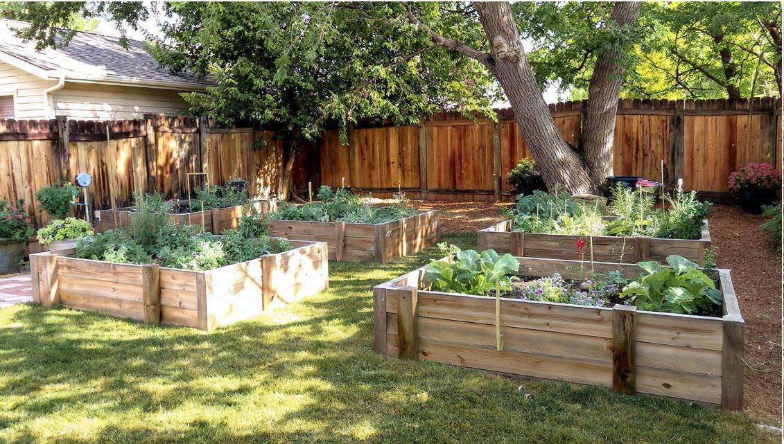 How negative air pressure and temporary walls reduce infection risks