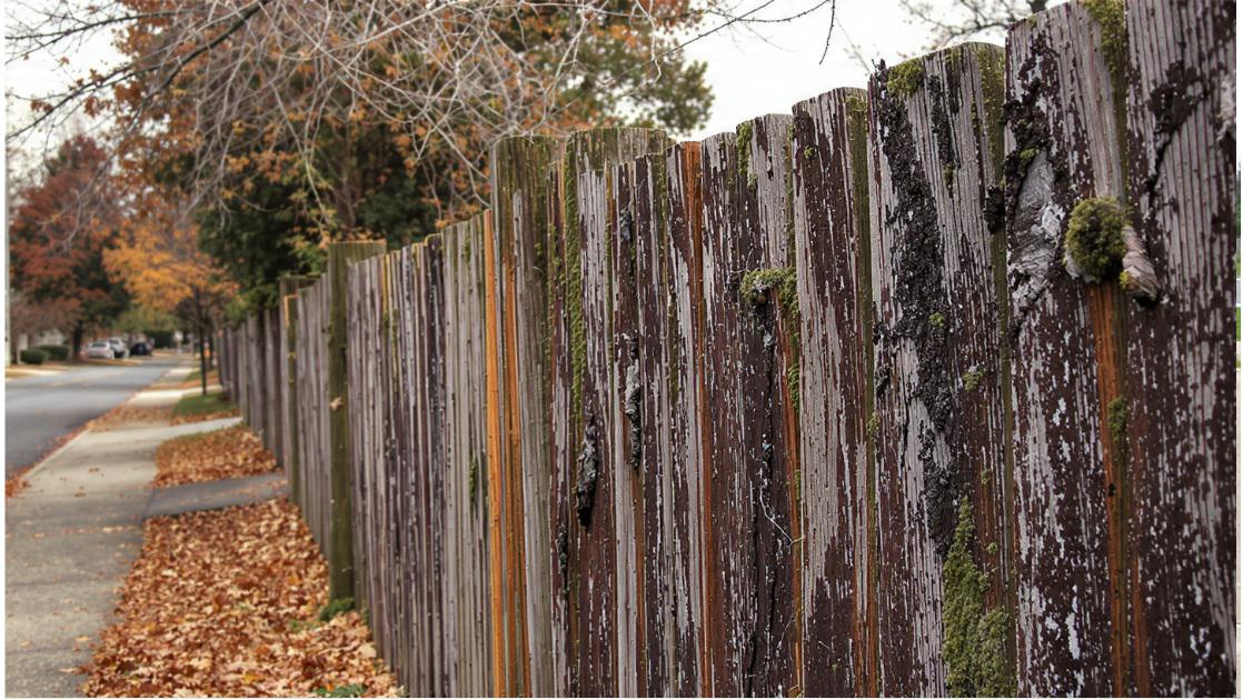 Wood Fence in Atlanta: If You Could Only Keep One Feature, Appearance, or Longevity, Which Would You Choose?