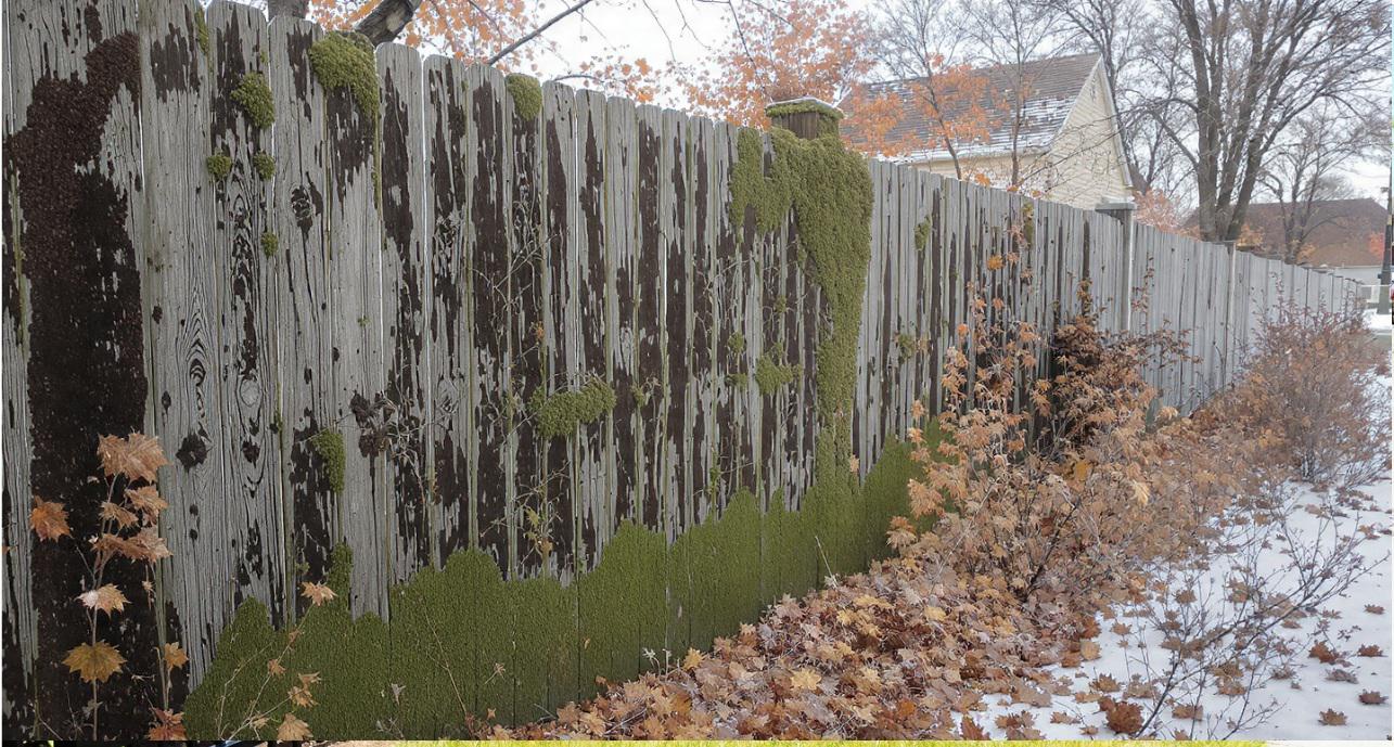 Wood fencing in Omaha as a living boundary that shifts with seasons, weather, and time