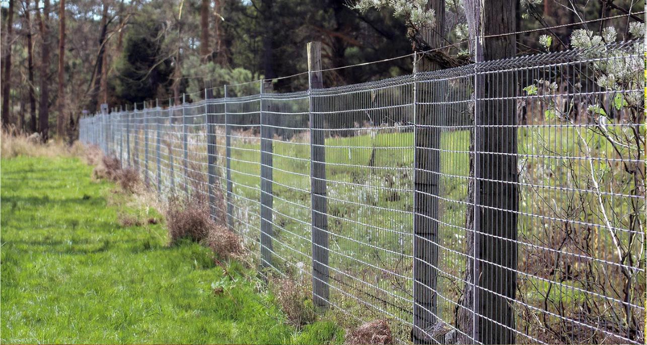 Deer fencing in the Triad and the shifting boundary between natural movement and protected space