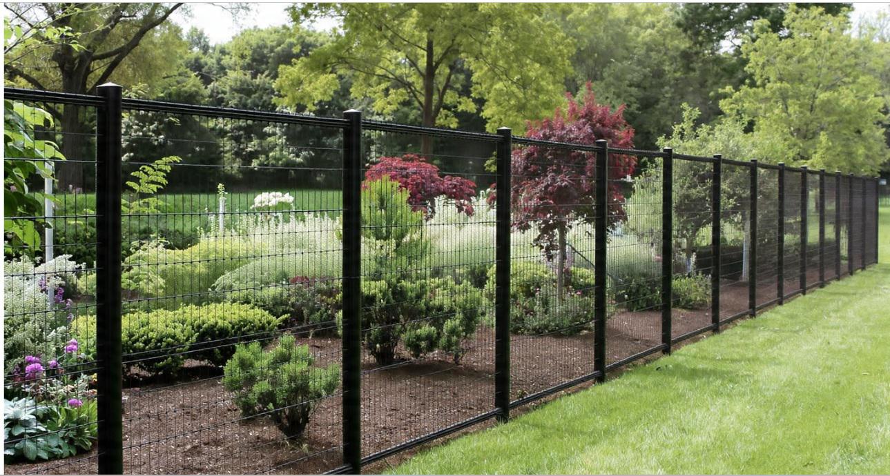 How deer fencing quietly reshapes gardening success and plant choices across the Triad