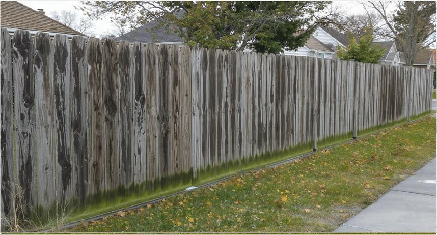 Wood fencing in Media as a boundary that evolves in tone, texture, and presence over time