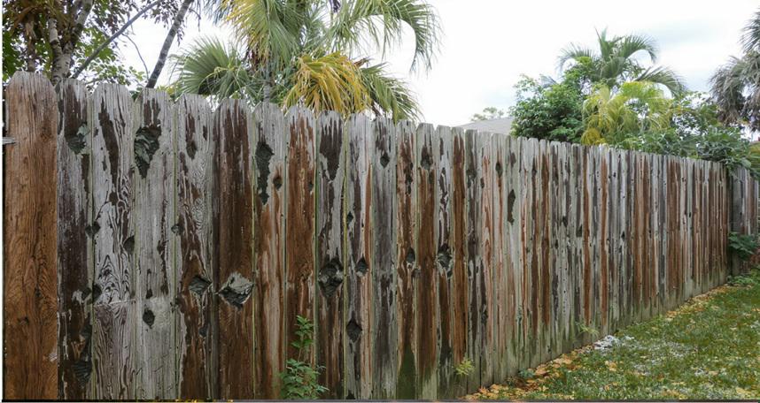 How negative air pressure and temporary walls reduce infection risks