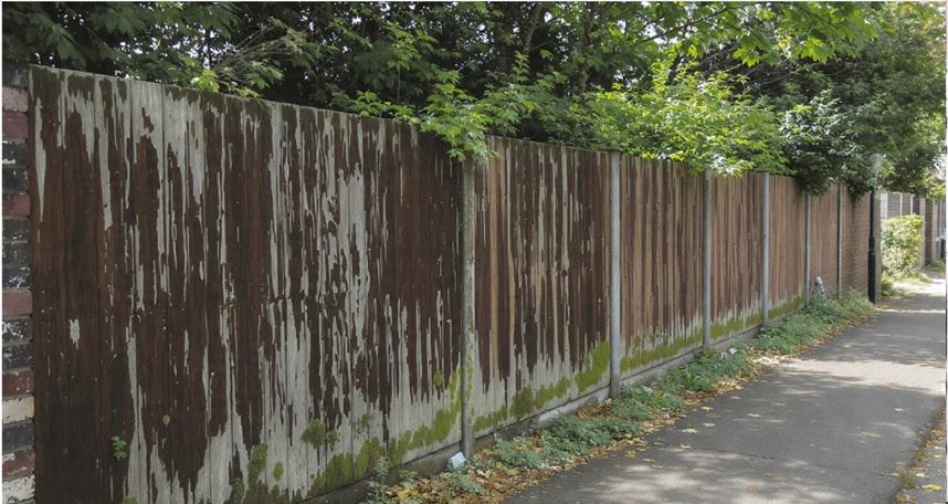 Wood fencing in Birmingham and the way it absorbs shade, moisture, and neighborhood character
