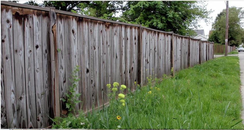 Wood fencing in Ann Arbor as a material that mirrors the surrounding environment over time