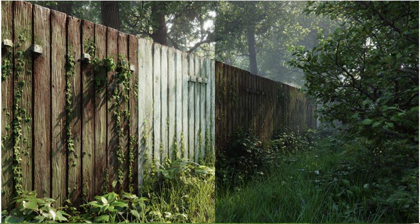 Why do wood fences in Atlanta transition from sharp boundaries to softened landscape features over time