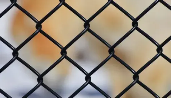 black vinyl chain link fence close up