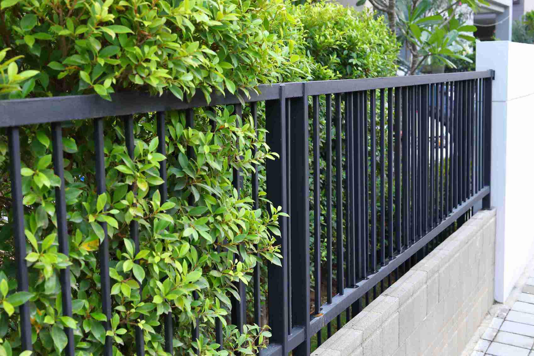 metal-fencing-steel