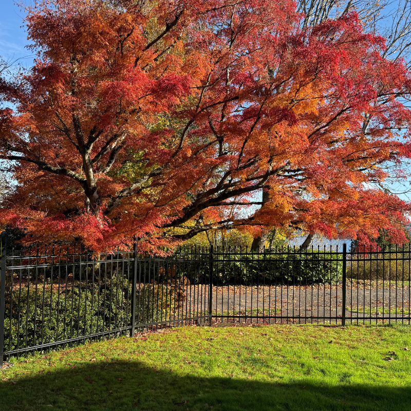 Ornamental Metal Picket fence installed by top rail fence