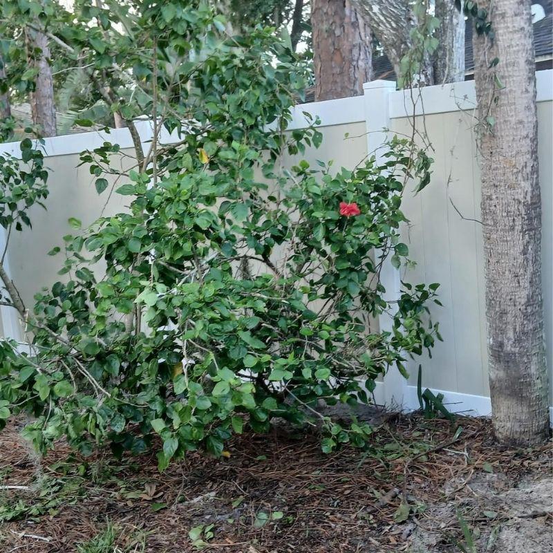 Two tone vinyl fence installed by Top Rail Fence