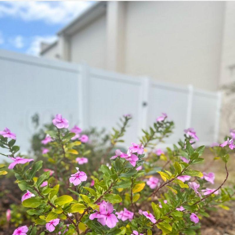 vinyl fence installed by top rail fence