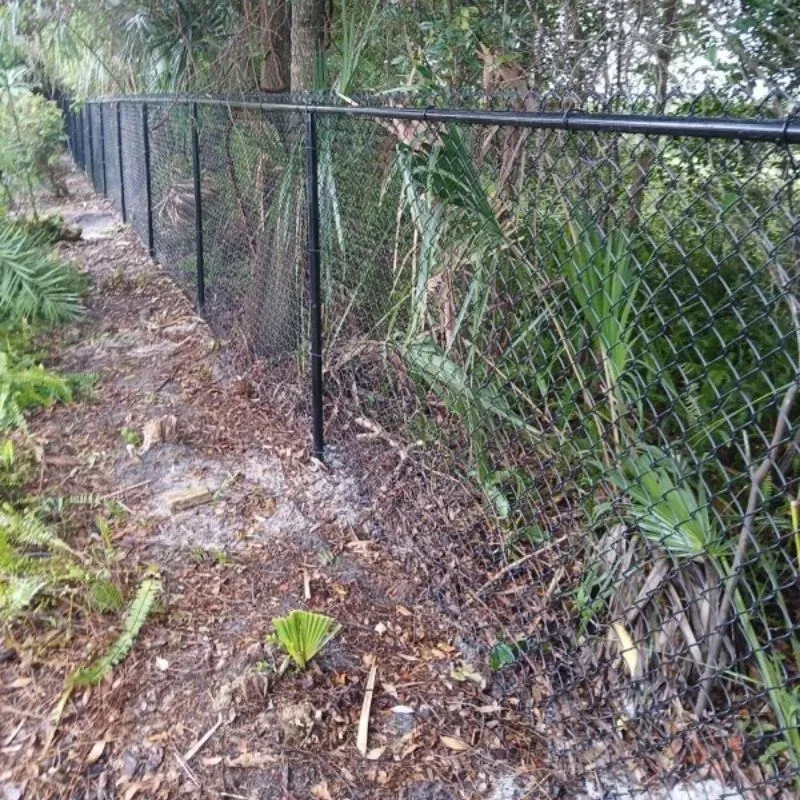 PVC Coated Chain Link