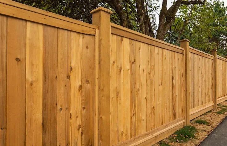 Cap & Trim Wood Fence