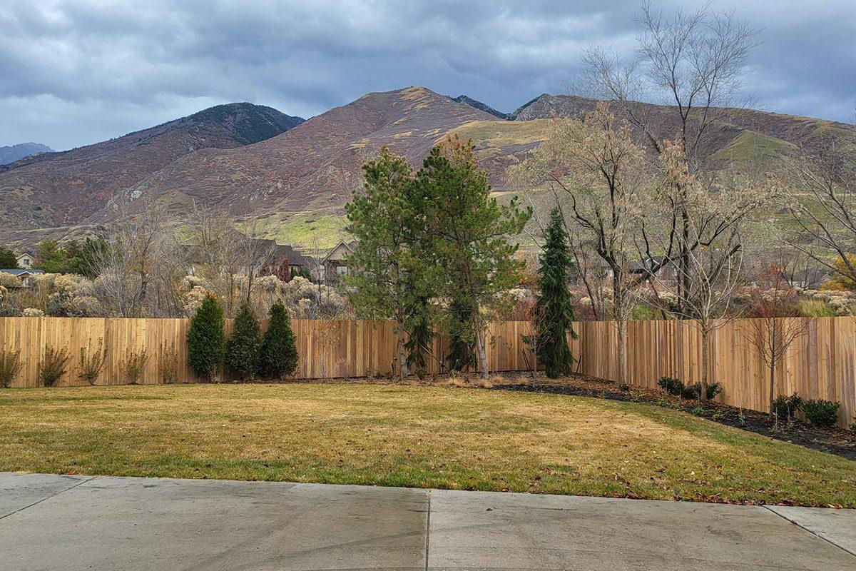 Wood vs. Chain Link Fencing: Which is Best for Your Yard?