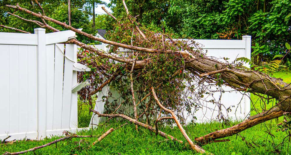 tree falling on white fence and needs fence repair