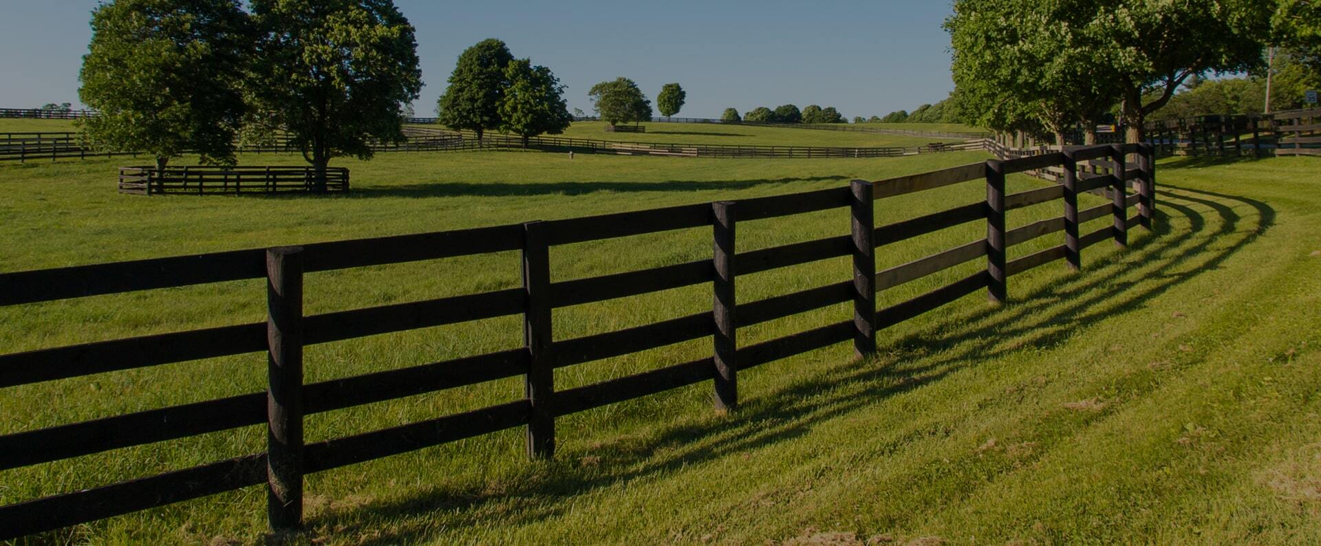 The Top Rail Fence Blog