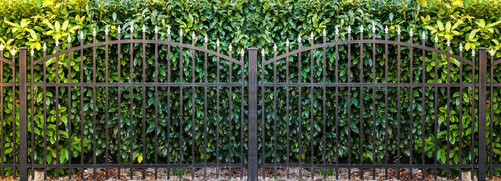 Fence Design
