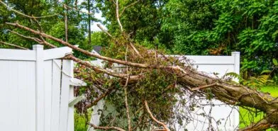 tree falling on white fence and needs fence repair