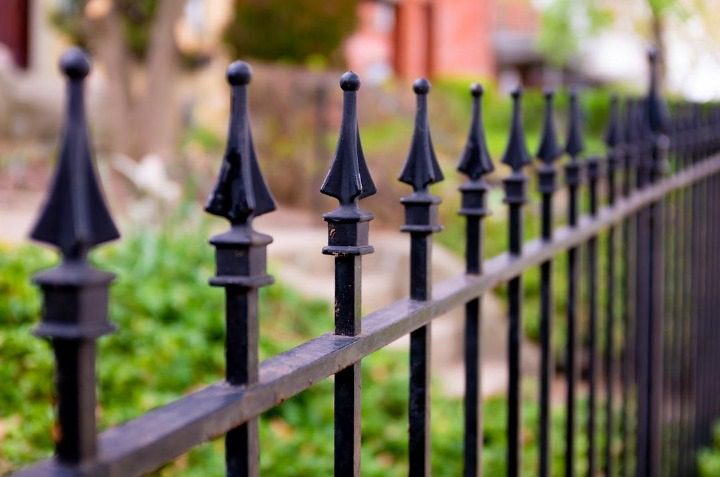 Fence Height