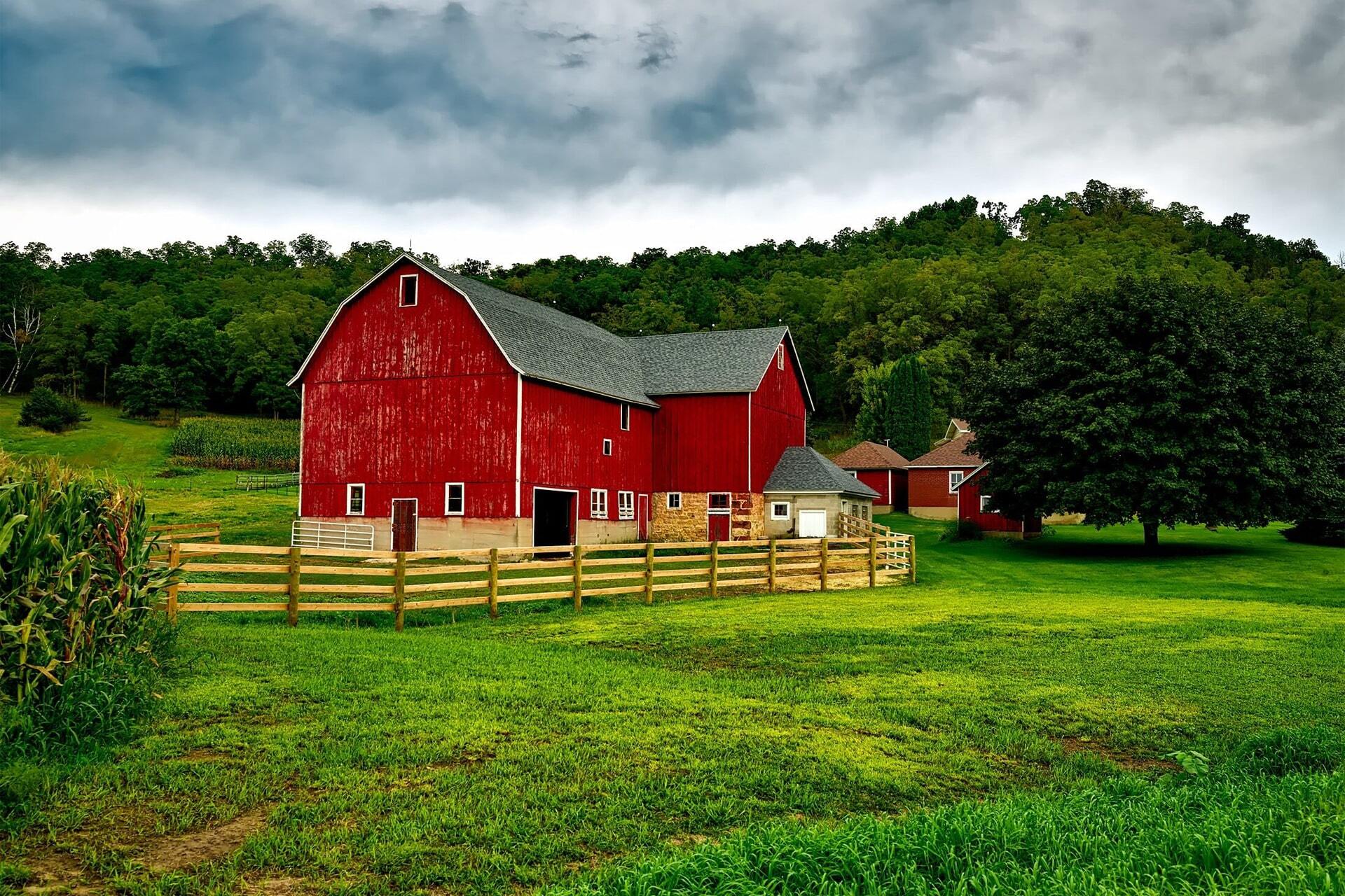 Agricultural fencing solutions by Top Rail Fence
