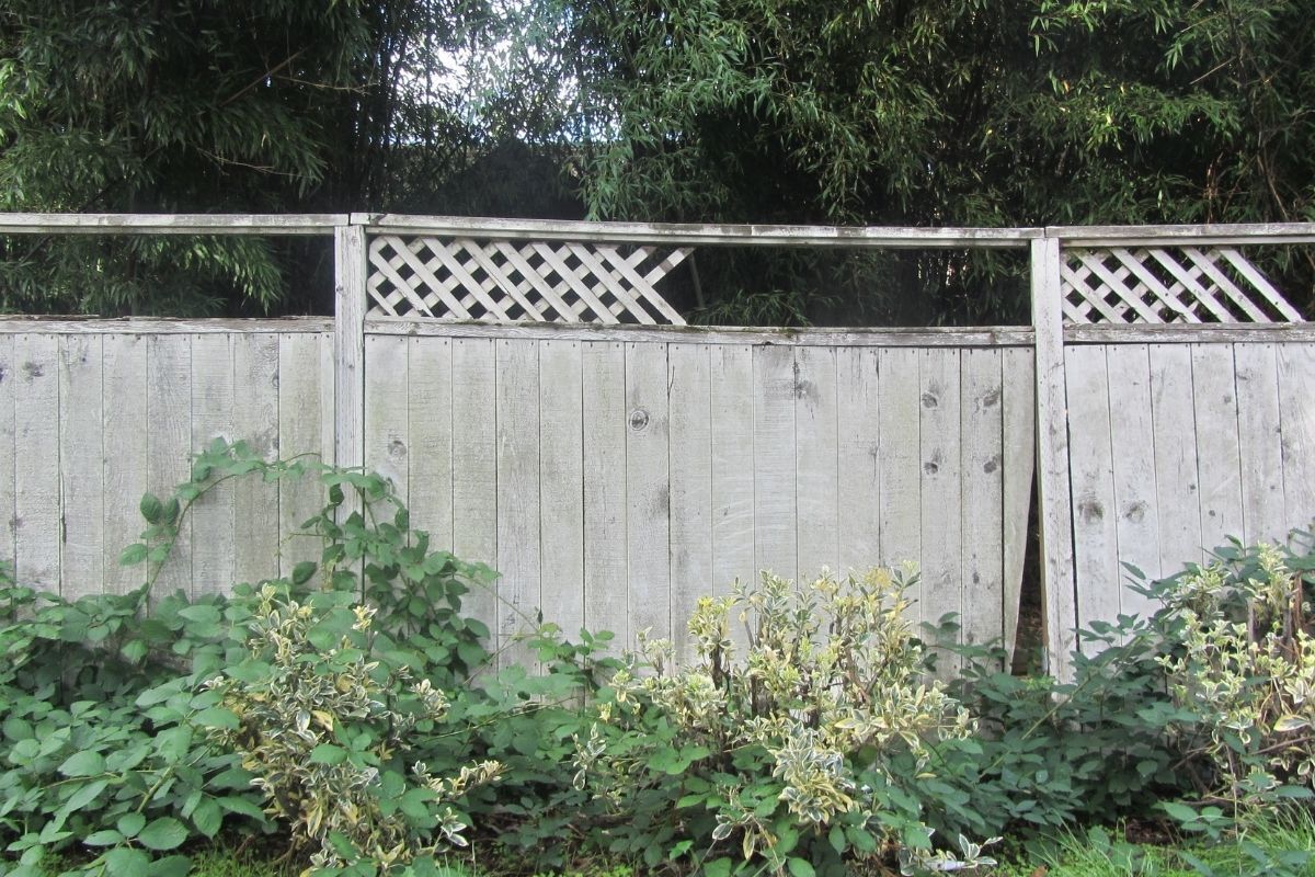 Old broken wood fence with missing lattice on top