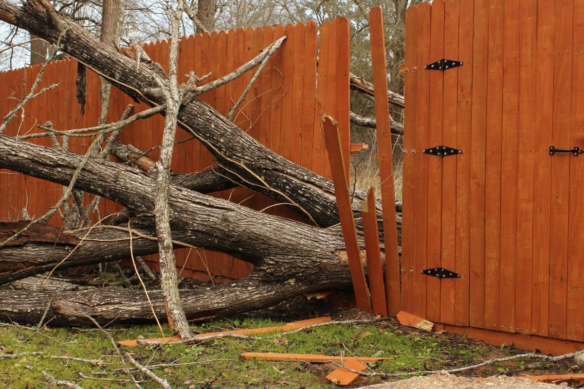 tree fallen through a wood residential fence