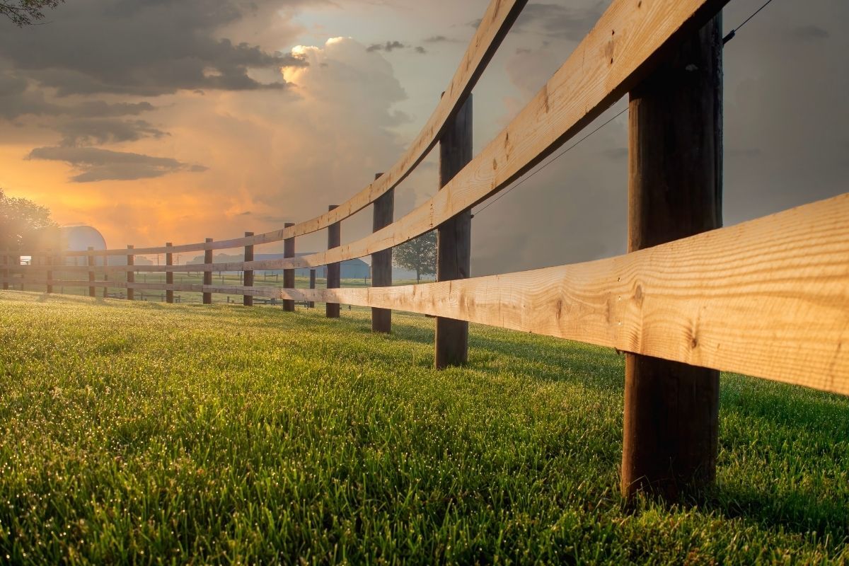 Fence Design Inspiration for Homes in the Texas Panhandle