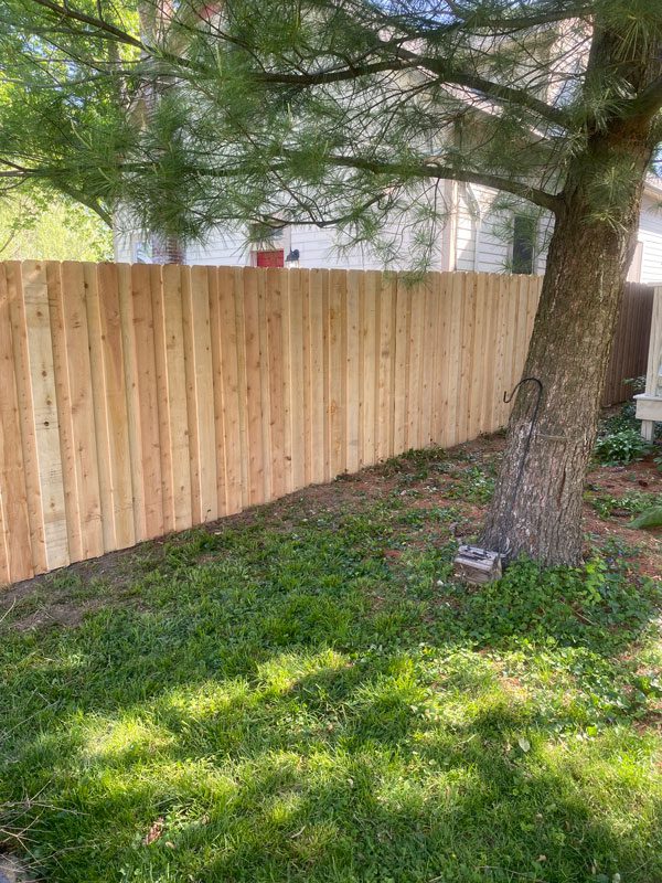 wood privacy fence in Indianapolis