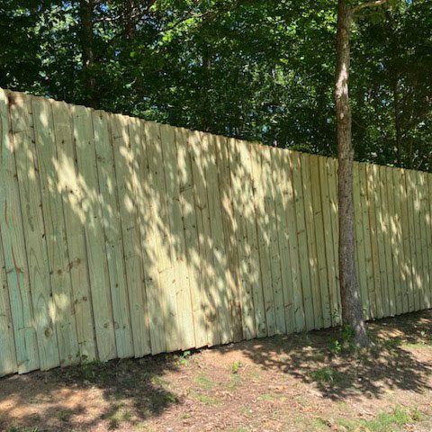 Privacy Fence