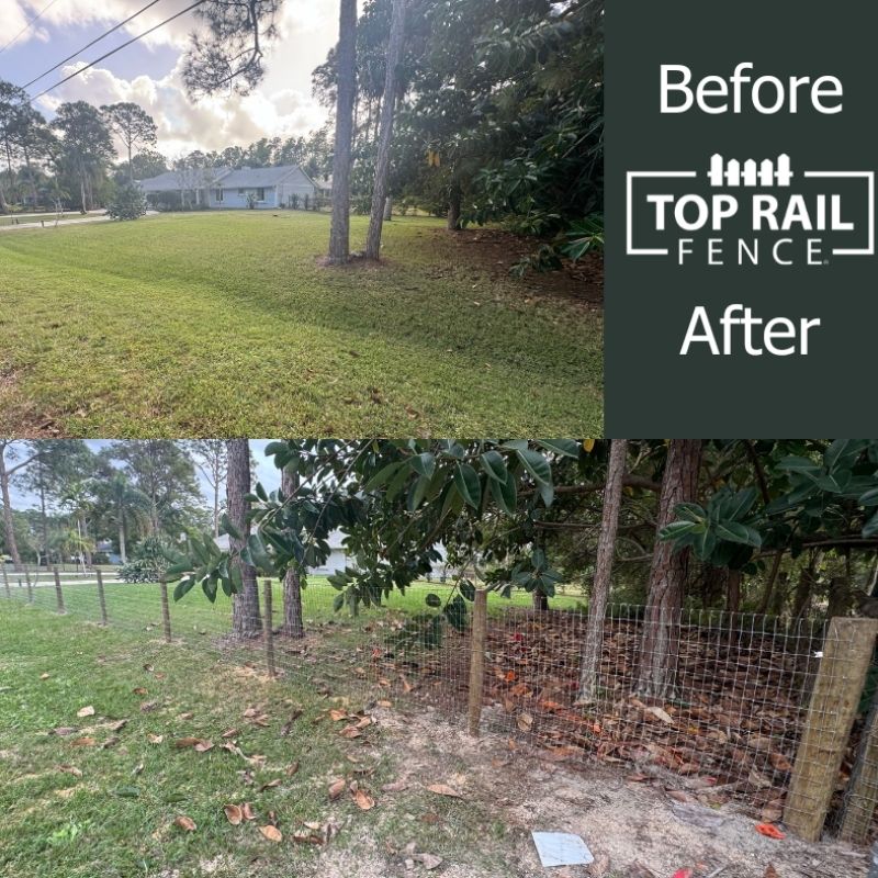 Before and After of a new wire cattle fence