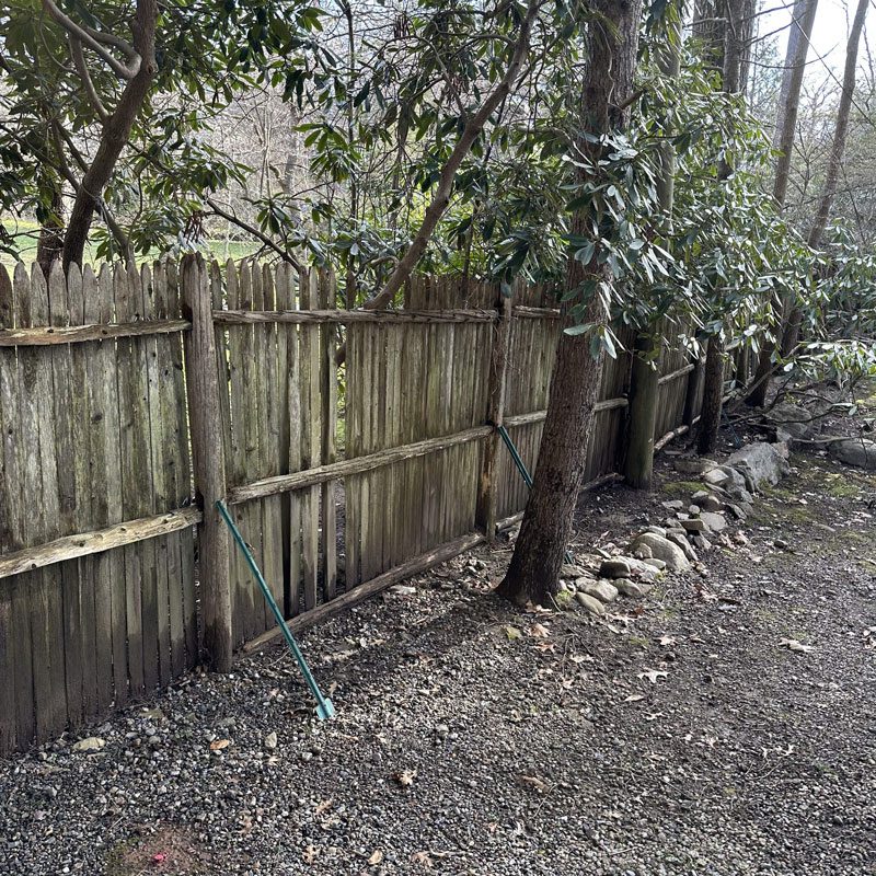 Old fence