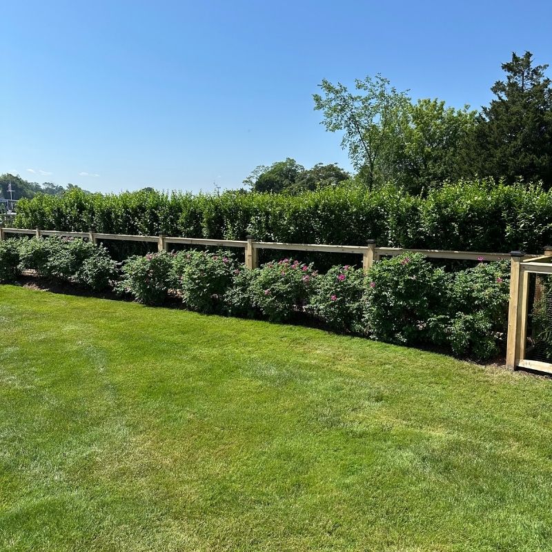 cedar fence installed by top rail fence