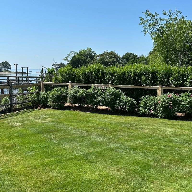 cedar fence installed by top rail fence