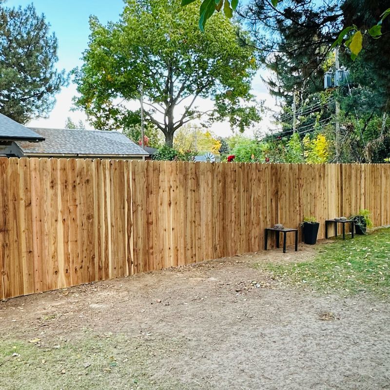 New wood fence backyard